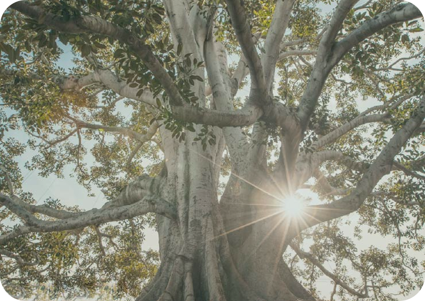 Crecimiento Personal