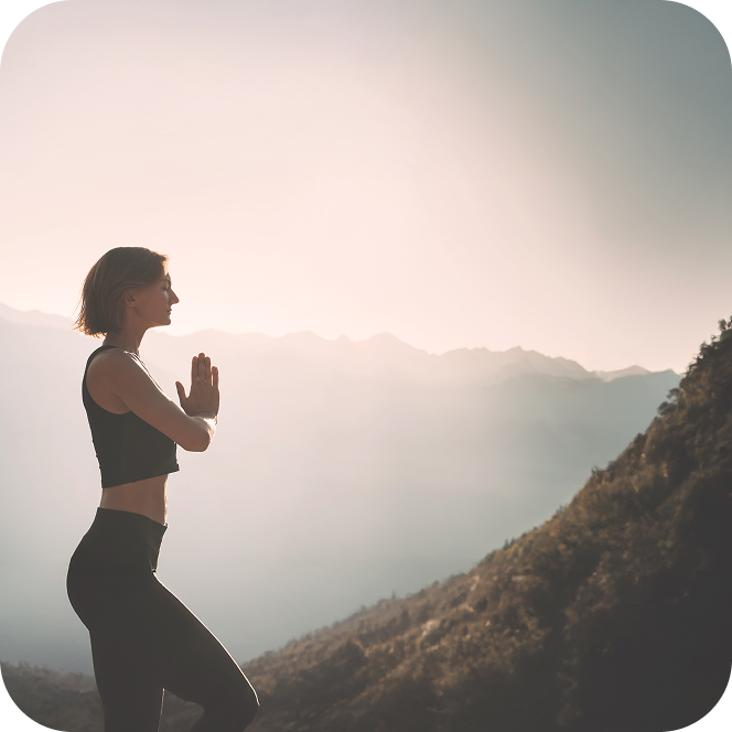 Meditación en Dojo Online